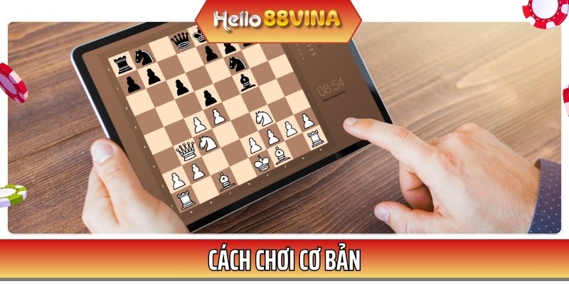 Cách chơi cờ đá ngựa Online cơ bản cho người mới