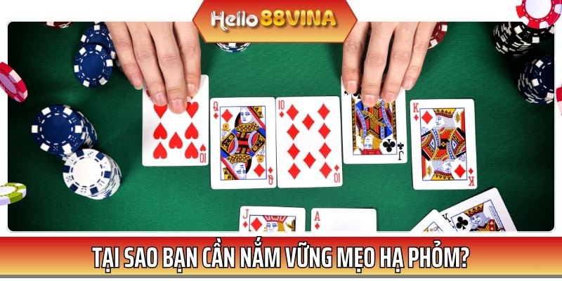 Có thể thấy rằng bí kíp hạ phỏm đóng vai trò quan trọng đối với chiến thắng của bạn